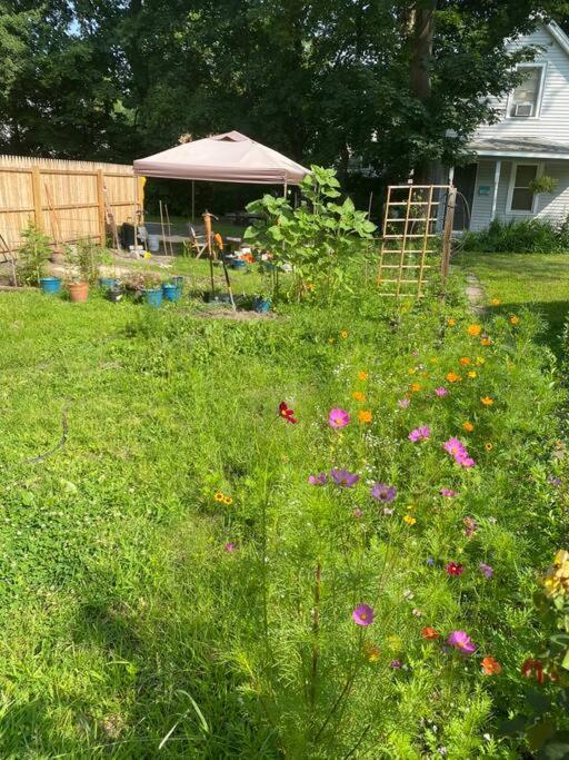 Studio Apt W Garden Kingston Exterior photo